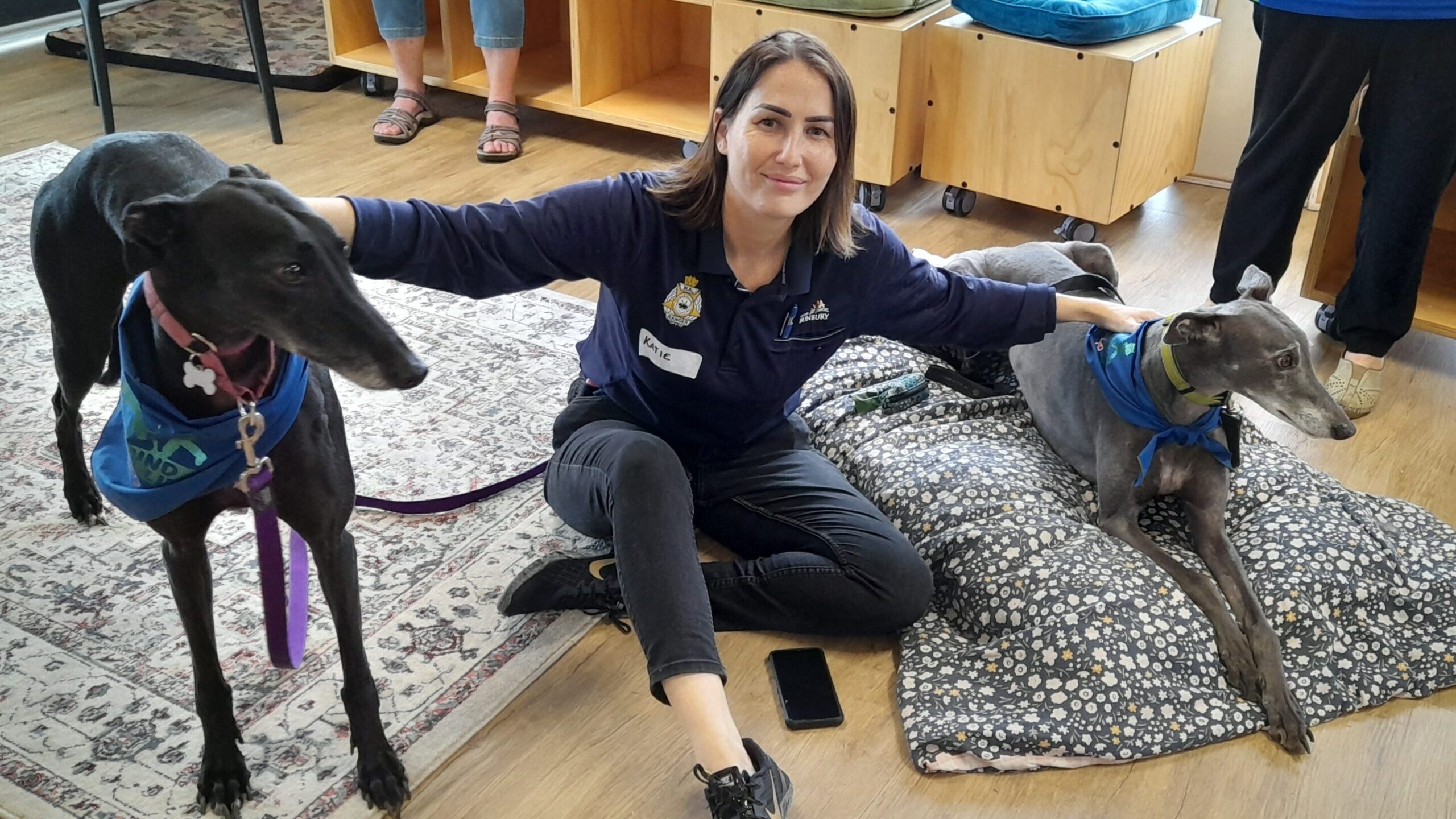 City of Bunbury ranger seated on hardwood floor with a black greyhound standing to the left of her on a rug and a grey greyhound sitting on a dog bed to her right. The ranger is wearing black jeans, navy blue top and she has brown hair.