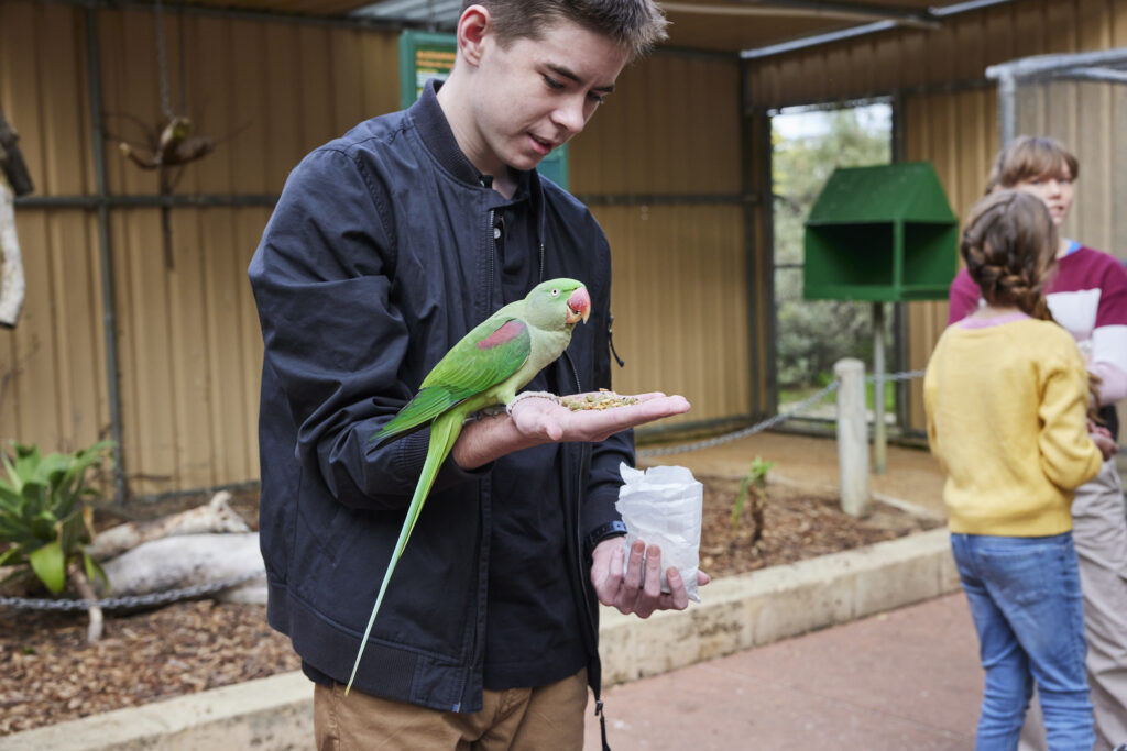 boy in blue jacket handfeeding green parrot