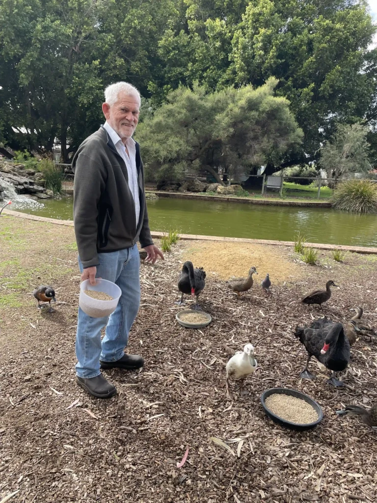 Elderly gentleman smiling with ducks