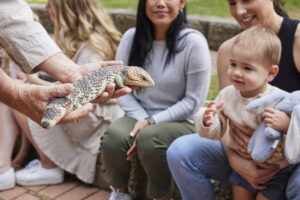 lizard in focus group in background