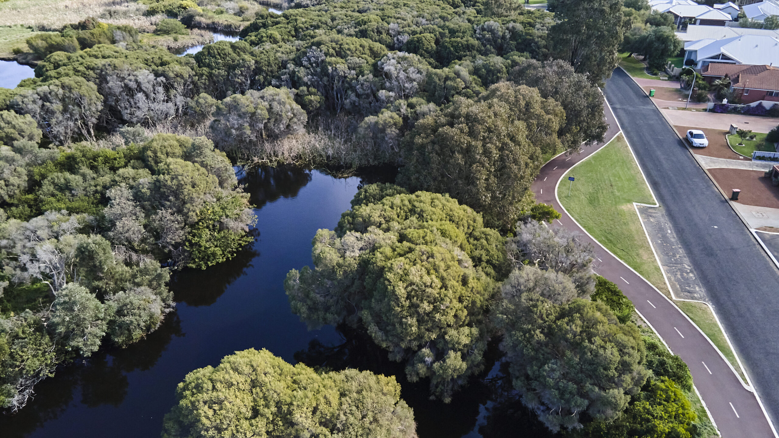 Aerial view of Big Swamp Wetlands