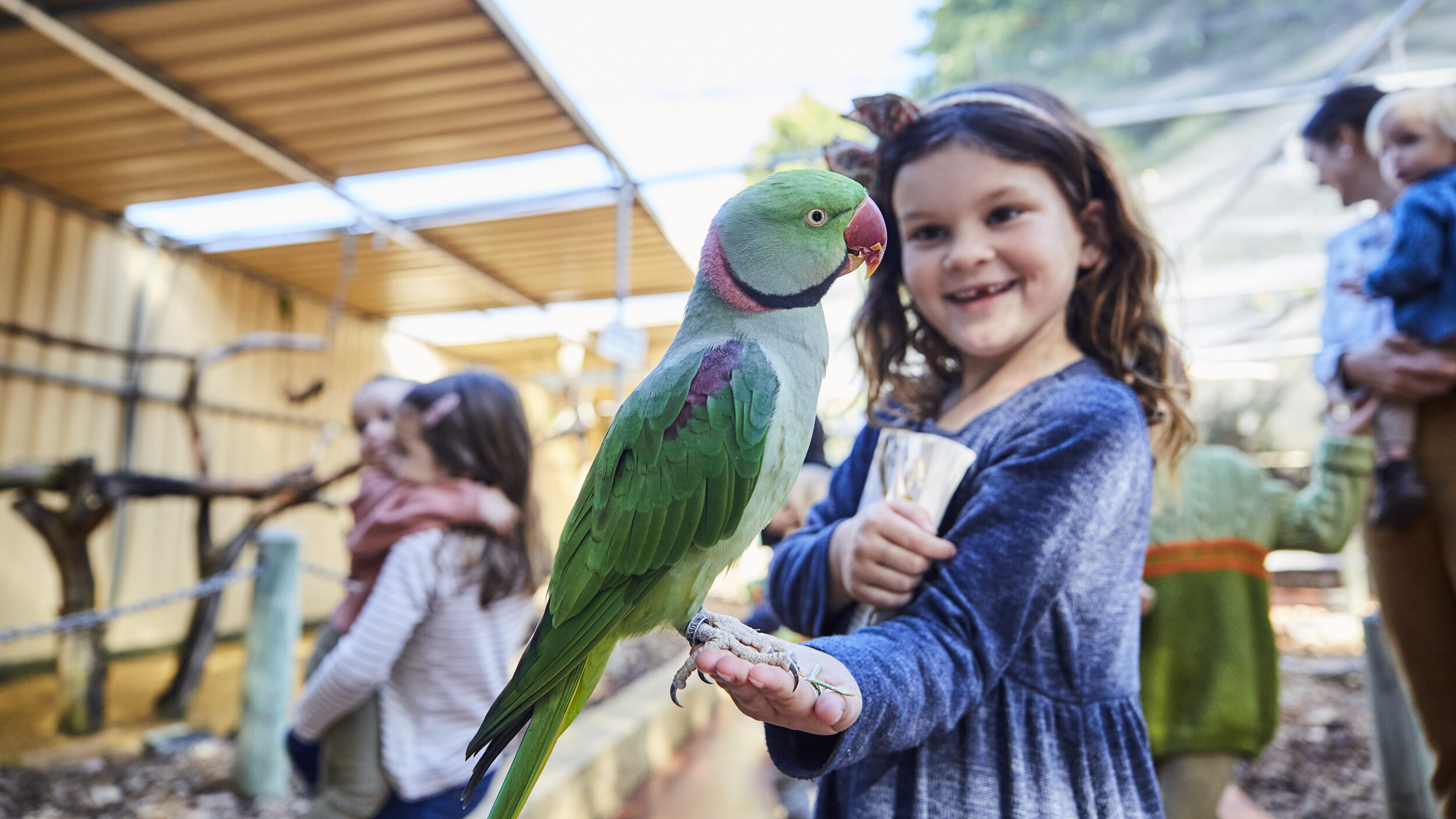 child with parrot on hand