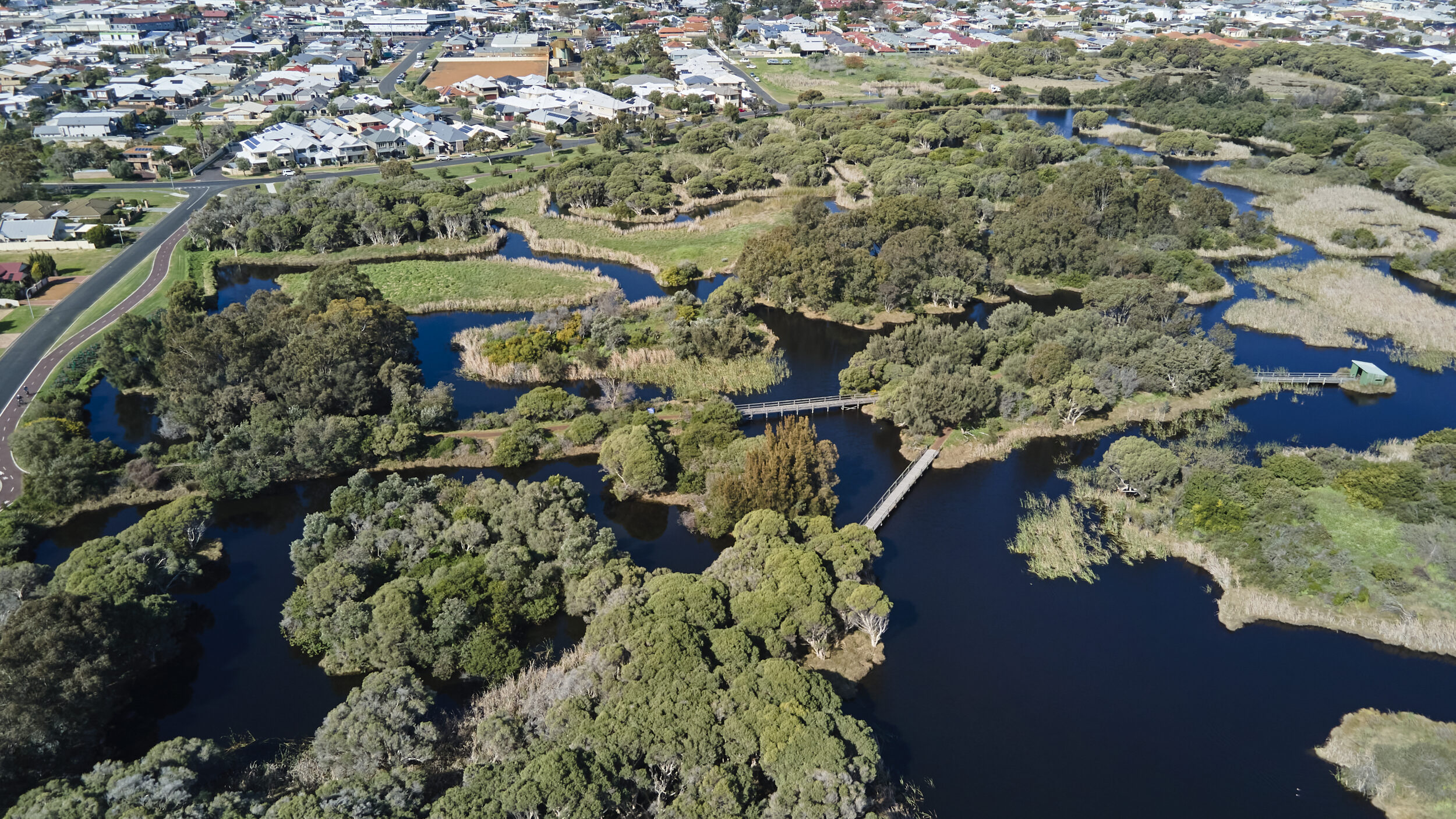 Aerial view of Big Swamp wetlands